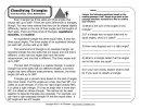 Week 17 Reading Comprehension Activity