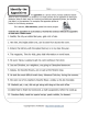 Appositive Phrase Worksheets