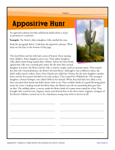 Appositive Hunt - Free, Printable Worksheet Lesson