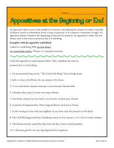 Appositives at Beginning or End - Free, Printable Worksheet Practice Activity