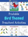 Birds Preschool Theme Activities