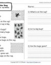 The Bug on the Rug