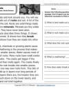 The Rock Cycle