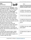 Plant Life Cycles