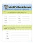 Identify the Antonym - Printable Worksheet Activity