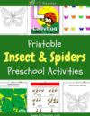 Insects and Spiders Preschool Theme Activities