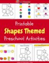 Shapes Preschool Theme Activities