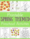 Spring Preschool Theme Activities
