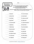 Printable Parts of Speech Activity - Synonyms or Antonyms?