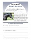 Find the Main Idea: Black Beauty