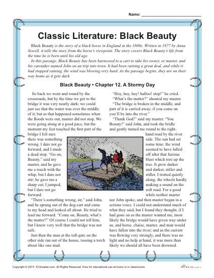 Black Beauty - Printable Reading Comprehension Set