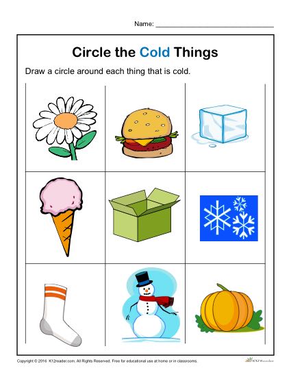 Preschool Worksheet Activity - Circle the Cold Things!