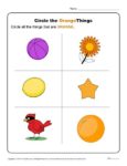 Circle the Orange Things | Preschool Color Worksheets