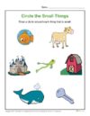 Circle the Small Things