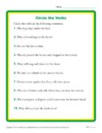 Circle the Verbs - 2nd and 3rd Grade Worksheet Activity