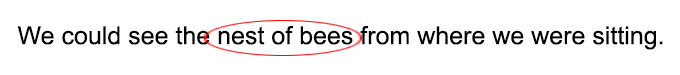 Collective Noun examples