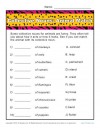 Collective Nouns: Animal Match