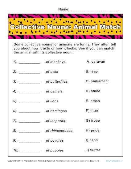 Collective Noun Worksheets - Animal Match