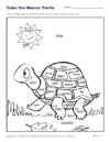Color the Nouns: Turtle