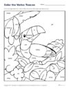 Color the Verbs: Toucan