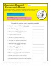 Countable and Uncountable Nouns