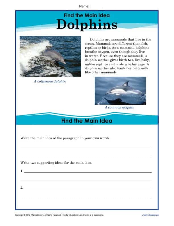 What is the main idea of a story? Dolphins Passage