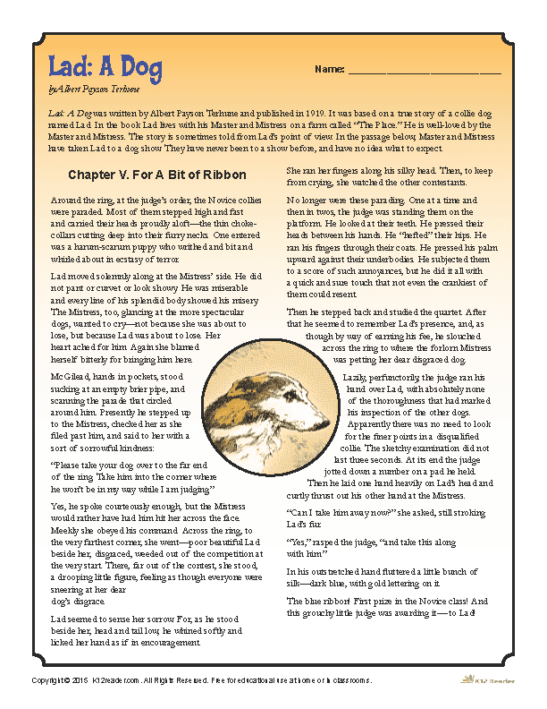 Lad a Dog - Printable Reading Activity Worksheets