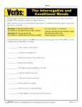 Verb Practice Worksheet - Interrogative and Conditional Moods