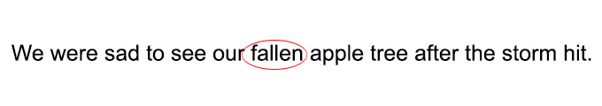 Participle Phrase Examples