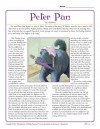 Peter Pan Reading Comprehension Set