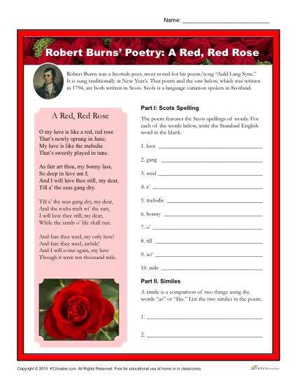 Robert Burns Poetry Printable Activity - A Red, Red Rose