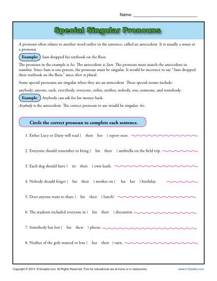 Special Singular Pronouns Worksheet Activity