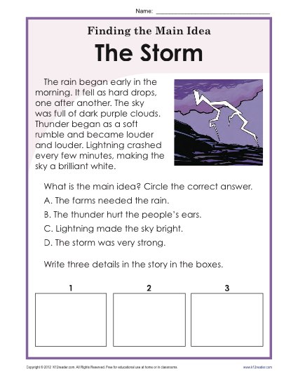Main Idea and Supporting Details - Passage about Storms