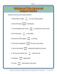 Subject Verb Agreement Worksheet Practice Activity - Subject Varieties