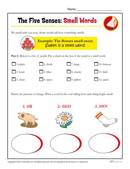 The Five Senses Printable Worksheet Activity for Kindergarten and First Grade - Smell Words