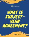 What is Subject Verb Agreement?