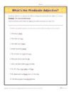 What are the Predicate Adjectives?