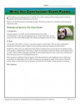 Write a Conclusion Writing Activity - Giant Panda